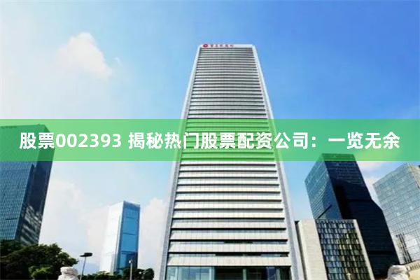 股票002393 揭秘热门股票配资公司：一览无余